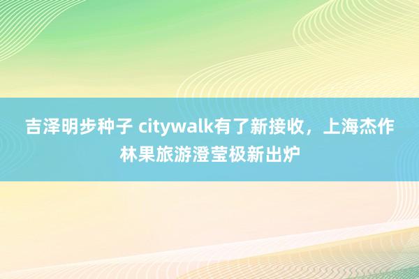 吉泽明步种子 citywalk有了新接收，上海杰作林果旅游澄莹极新出炉