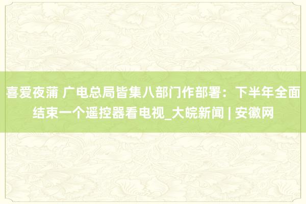 喜爱夜蒲 广电总局皆集八部门作部署：下半年全面结束一个遥控器看电视_大皖新闻 | 安徽网