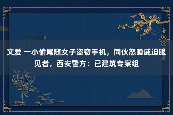 文爱 一小偷尾随女子盗窃手机，同伙怒瞪威迫眼见者，西安警方：已建筑专案组