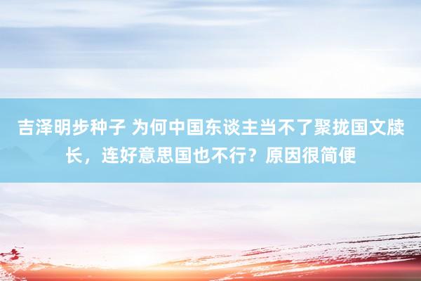 吉泽明步种子 为何中国东谈主当不了聚拢国文牍长，连好意思国也不行？原因很简便