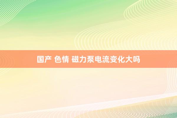 国产 色情 磁力泵电流变化大吗