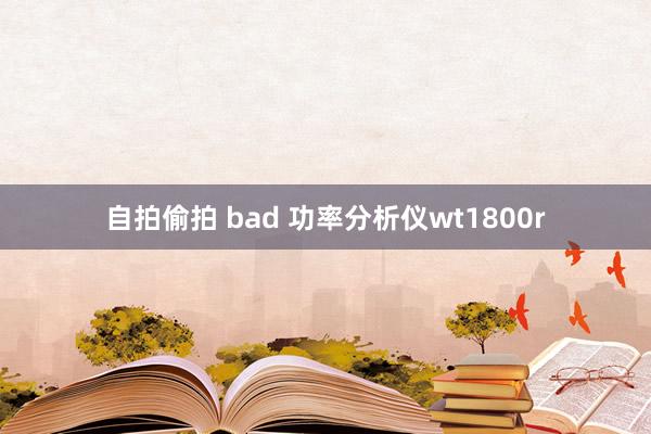 自拍偷拍 bad 功率分析仪wt1800r