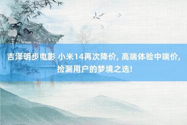 吉泽明步电影 小米14再次降价, 高端体验中端价, 捡漏用户