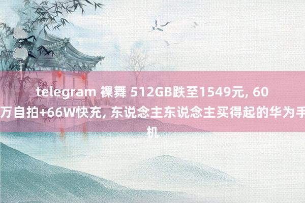 telegram 裸舞 512GB跌至1549元， 6000万自拍+66W快充， 东说念主东说念主买得起的华为手机