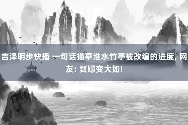 吉泽明步快播 一句话描摹淮水竹亭被改编的进度, 网友: 甄嬛