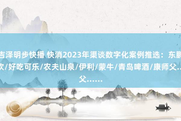 吉泽明步快播 快消2023年渠谈数字化案例推选：东鹏特饮/好
